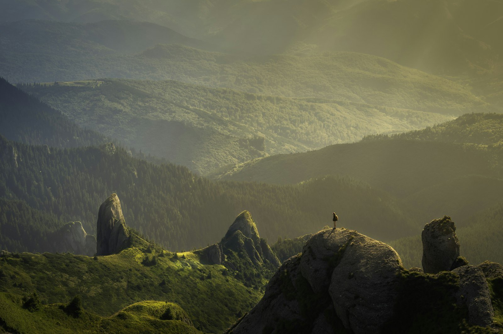 naturfotografie-alpen-7.jpg